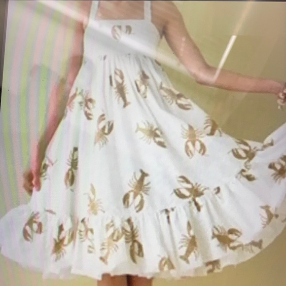 J Crew Lobster Dress 